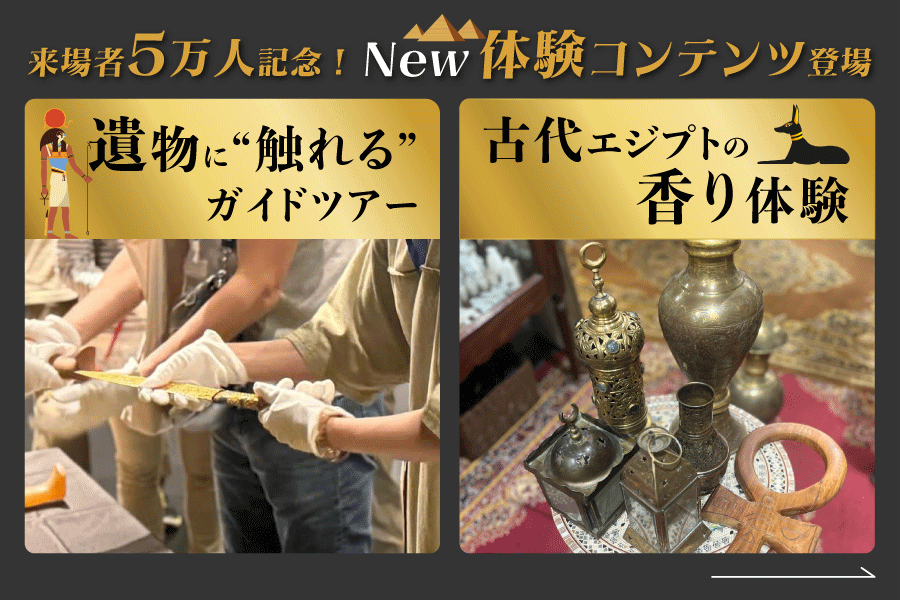 体験コンテンツ